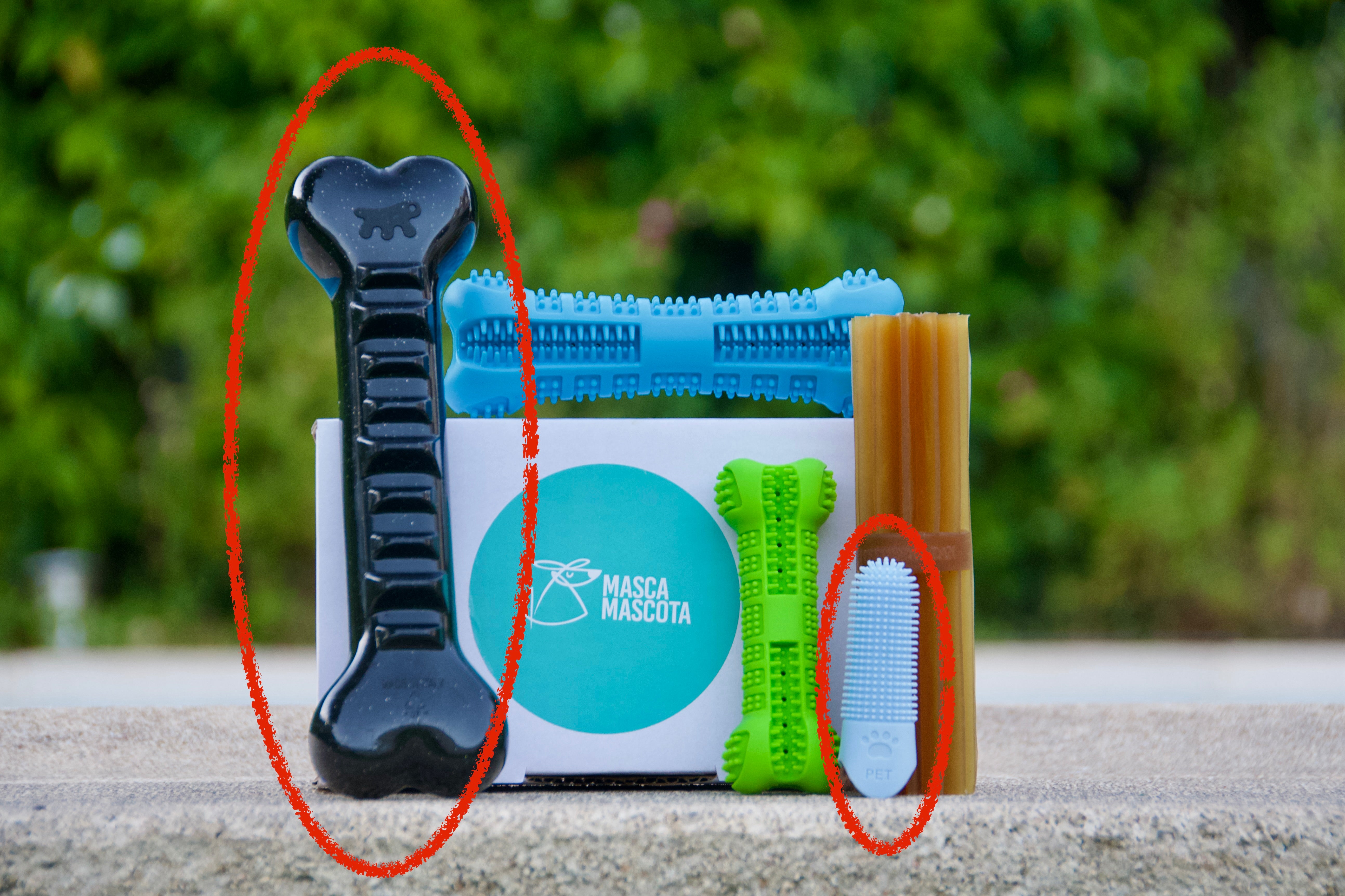PACK: grande de 15 Kg hasta 25 Kg