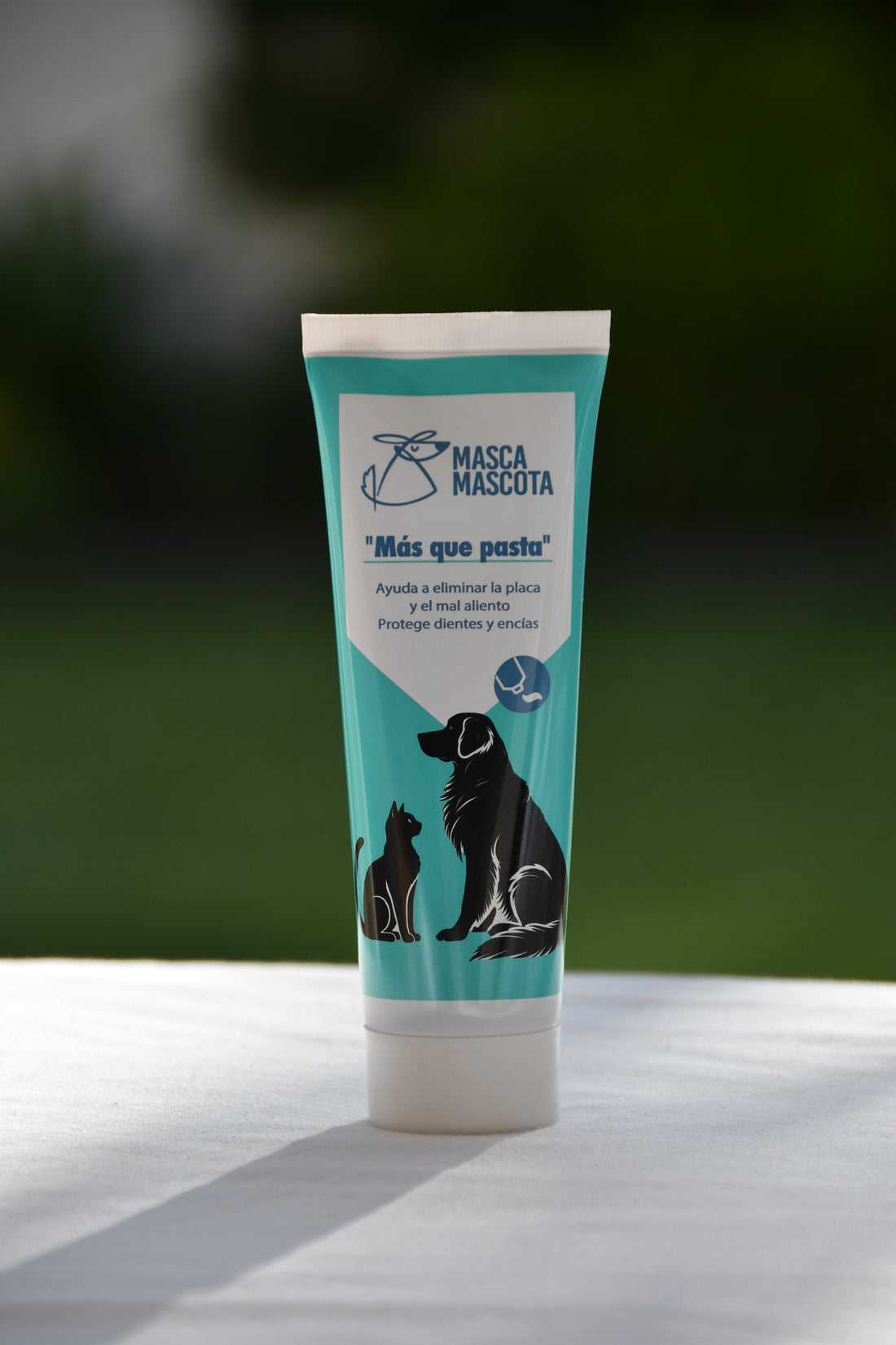Pasta dientes perro: cuál elegir y cómo usarla correctamente