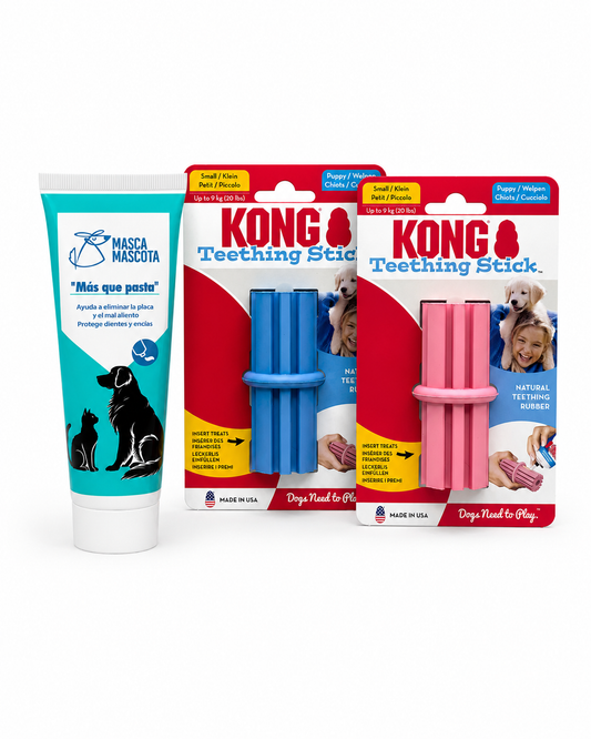 "Más que pasta" + Dental Stick Kong para cachorros
