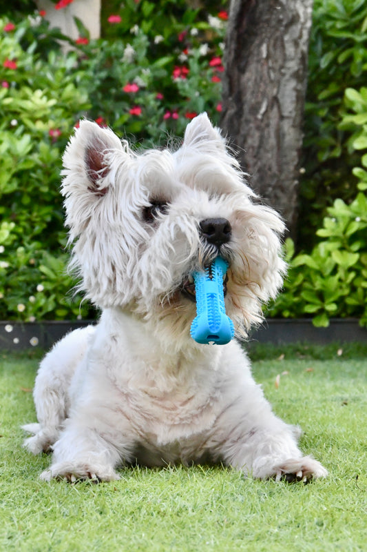 tubito 100 g + hueso pequeño