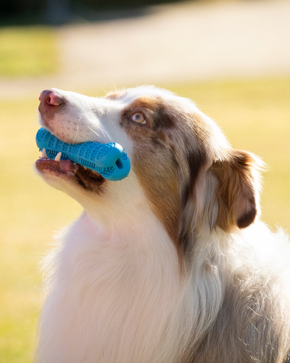 Pack dental Pasta Dental Natural para Perros Medianos  “Más que Pasta” 100g (Hueso y Dedal Incluido)