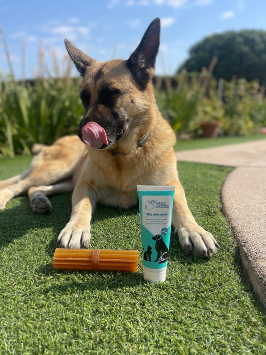 tubito 100 g + hueso resina natural