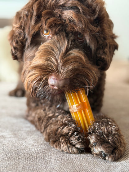 Pack dental Pasta Dental Natural para Perros Resina Natural Retorn “Más que Pasta” 100g (Hueso y Dedal Incluido)